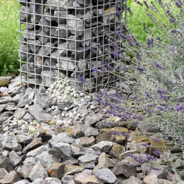 Tschannen_25Jahr_160